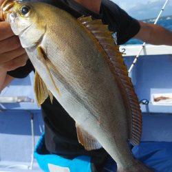 新幸丸 釣果
