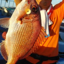 新幸丸 釣果