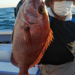 新幸丸 釣果