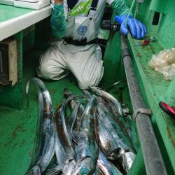 金沢八景鴨下丸 釣果