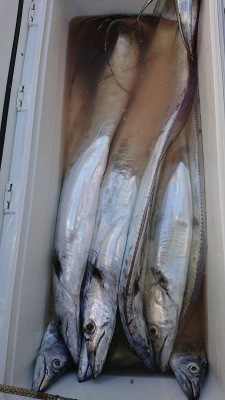 金沢八景鴨下丸 釣果