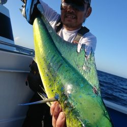 第三共栄丸 釣果