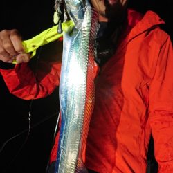 シースナイパー海龍 釣果