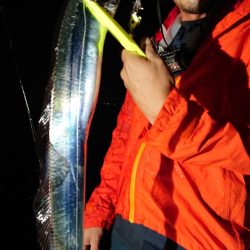 シースナイパー海龍 釣果