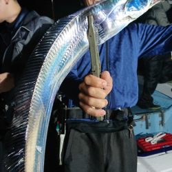 シースナイパー海龍 釣果