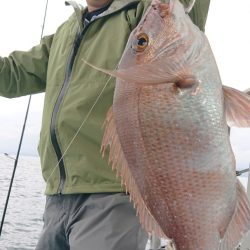 シースナイパー海龍 釣果