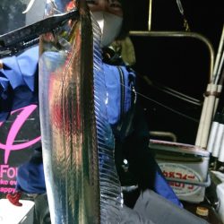シースナイパー海龍 釣果