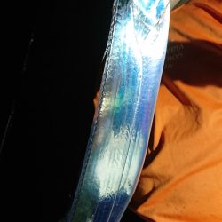 シースナイパー海龍 釣果