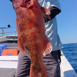 海皇丸 釣果