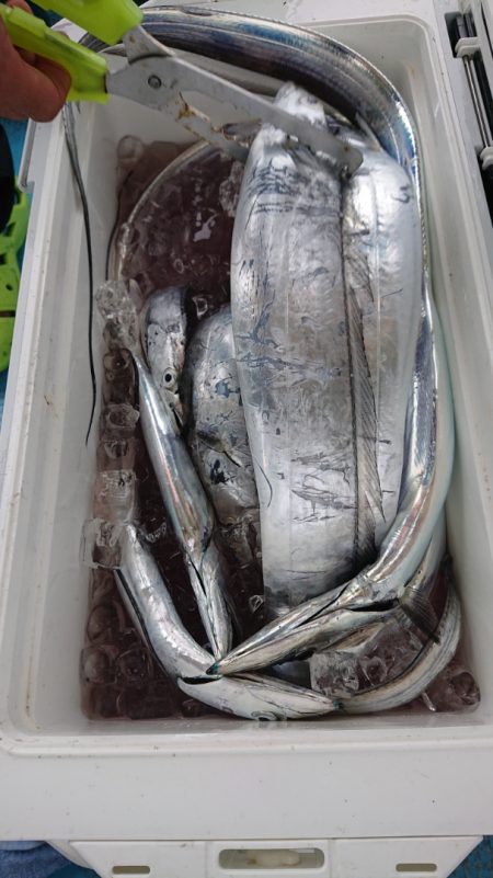 シースナイパー海龍 釣果