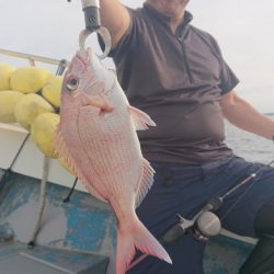 だて丸 釣果