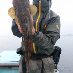 アマテラス 釣果