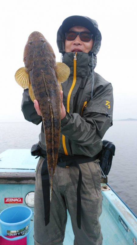 アマテラス 釣果