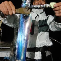シースナイパー海龍 釣果