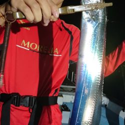 シースナイパー海龍 釣果