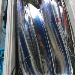 シースナイパー海龍 釣果