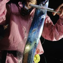 シースナイパー海龍 釣果