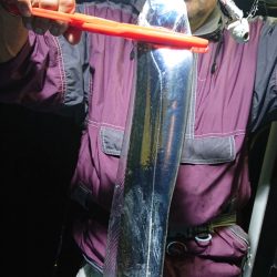 シースナイパー海龍 釣果