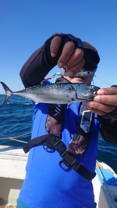 大応丸 釣果