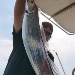 シースナイパー海龍 釣果