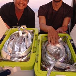 シースナイパー海龍 釣果