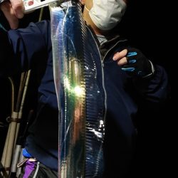 シースナイパー海龍 釣果