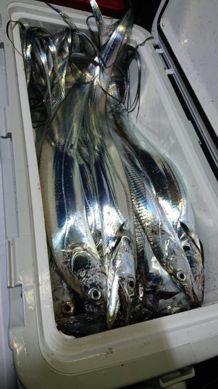 シースナイパー海龍 釣果