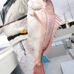 だて丸 釣果