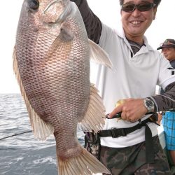 だて丸 釣果