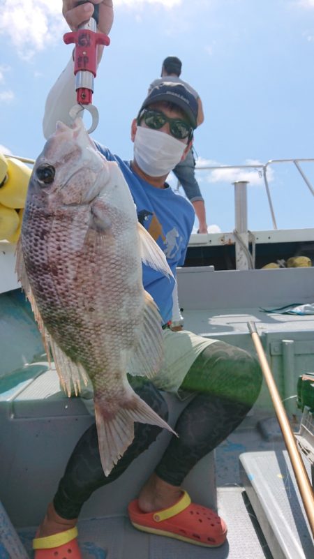 だて丸 釣果