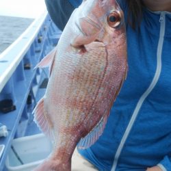 新幸丸 釣果