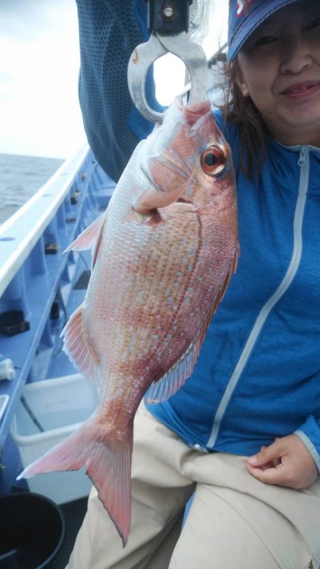 新幸丸 釣果