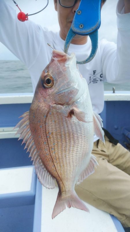 新幸丸 釣果