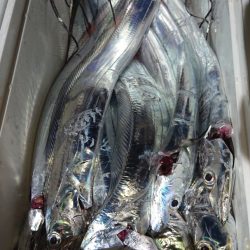 シースナイパー海龍 釣果