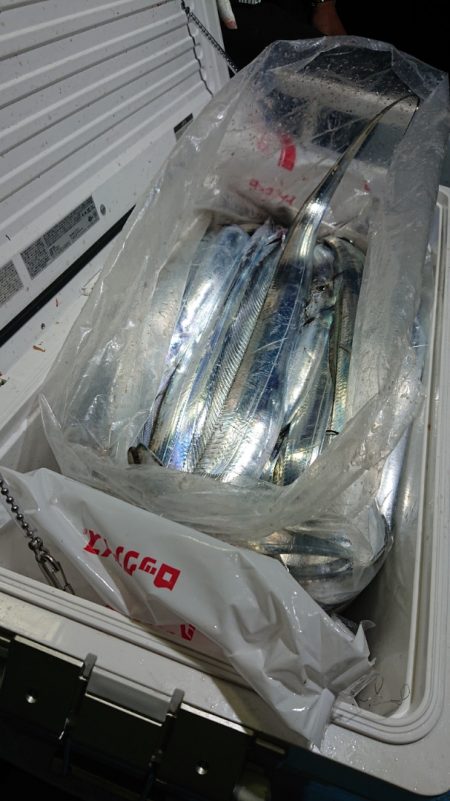 シースナイパー海龍 釣果