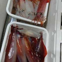 竹宝丸 釣果