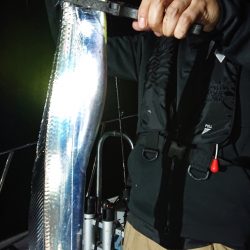 シースナイパー海龍 釣果