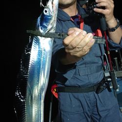 シースナイパー海龍 釣果