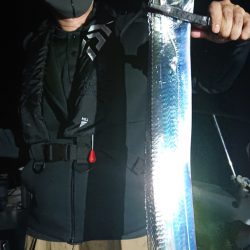 シースナイパー海龍 釣果