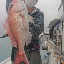 だて丸 釣果