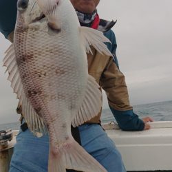 だて丸 釣果