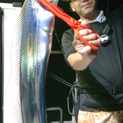 シースナイパー海龍 釣果