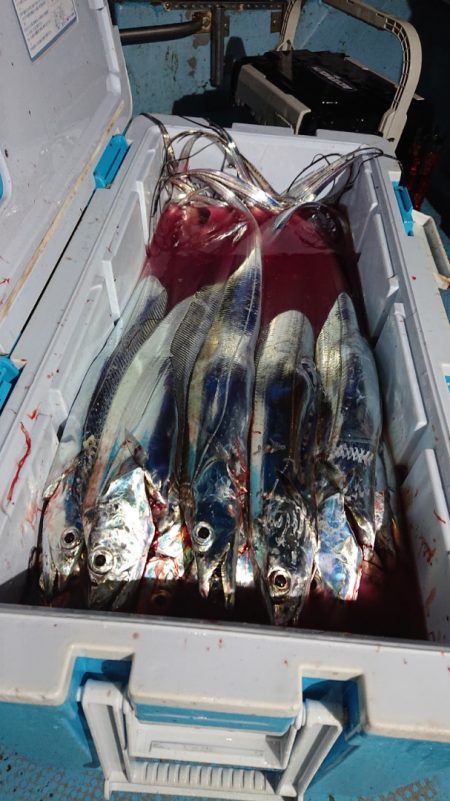 シースナイパー海龍 釣果