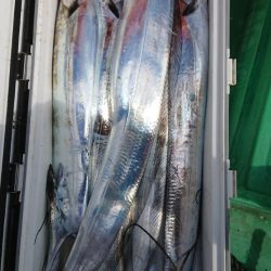 金沢八景鴨下丸 釣果