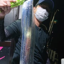 シースナイパー海龍 釣果