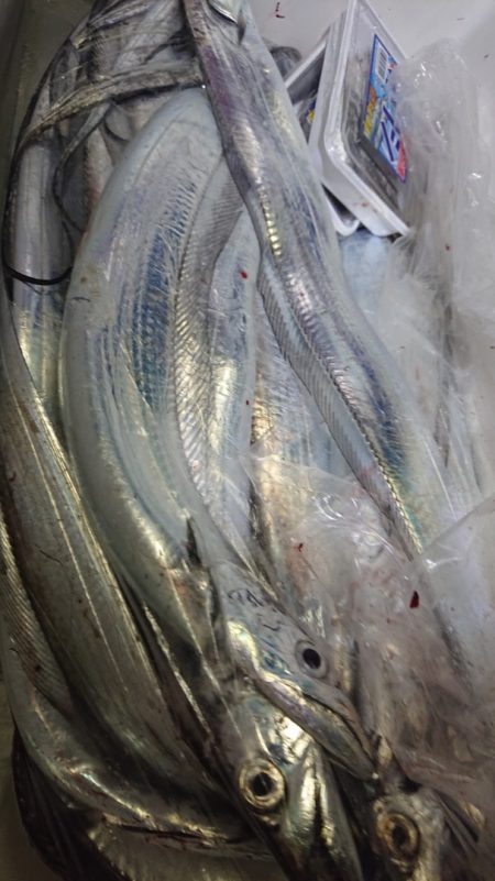 シースナイパー海龍 釣果