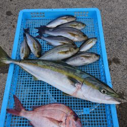 第三共栄丸 釣果