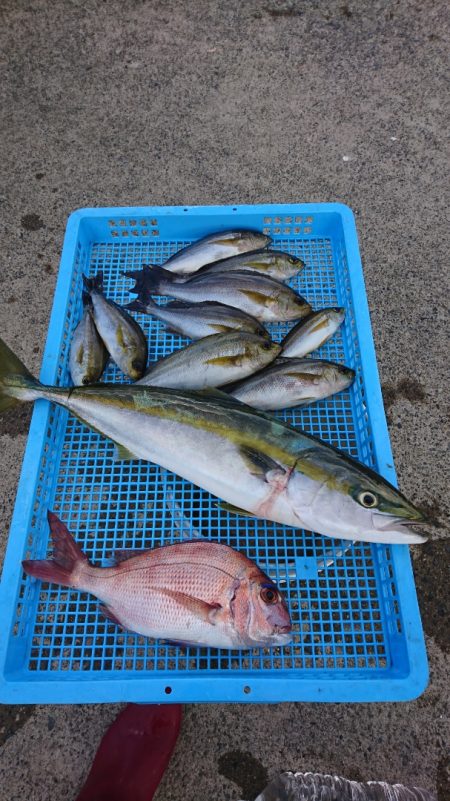 第三共栄丸 釣果