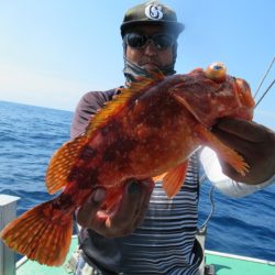 真祐丸 (しんゆうまる) 釣果