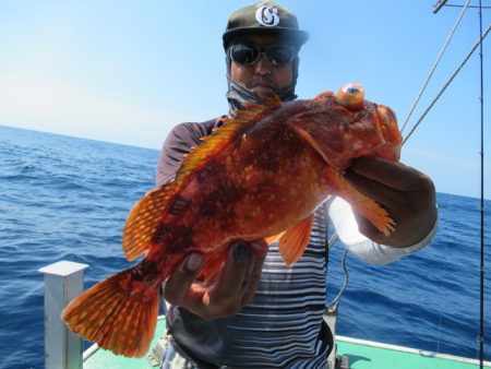 真祐丸 (しんゆうまる) 釣果